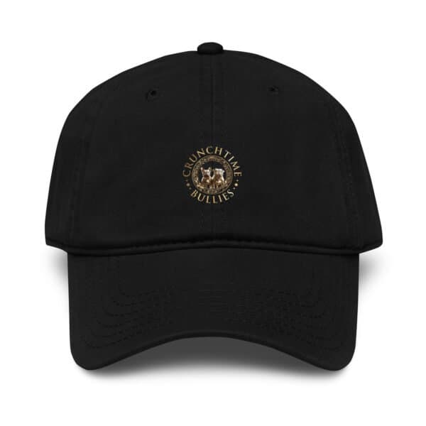 Garment Washed Baseball Cap